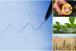 Crop price speculation