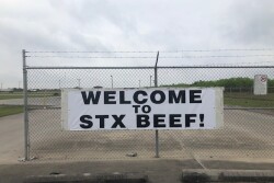 The south Texas beef packer formerly known as Kane Beef has reopened under the name of STX Beef.