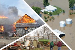 Losses incurred in 2018 will be paid at 100% of the damages. Losses in 2019 will be paid at 50%. 