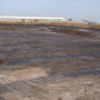 D10031.jpg