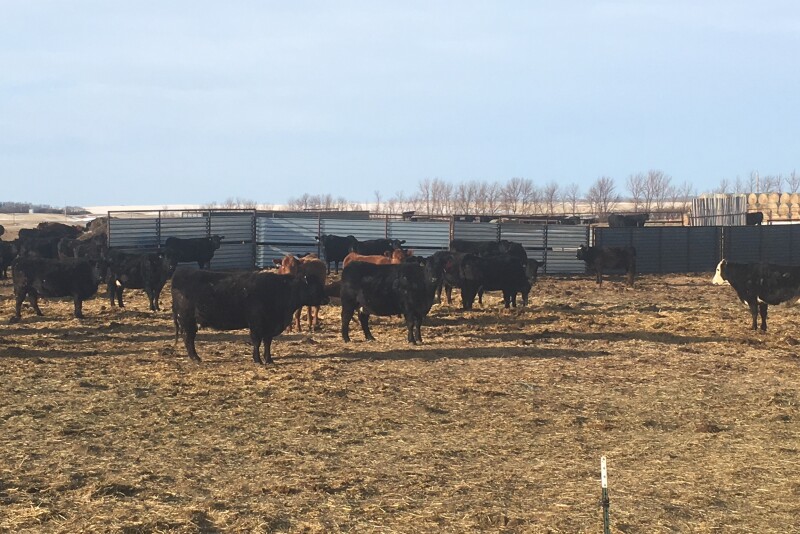Now is the time to make plans for the 2021 grazing season.