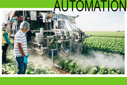 WESTERN GROWERS AUTOMATION.png