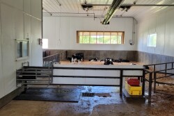 More and more farms have made the switch from feeding calves individually to group autofed systems. However, disease detection in group-housed calves remains a challenge.