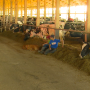 Tracking the success of the NMPF's FARM Animal Care program.