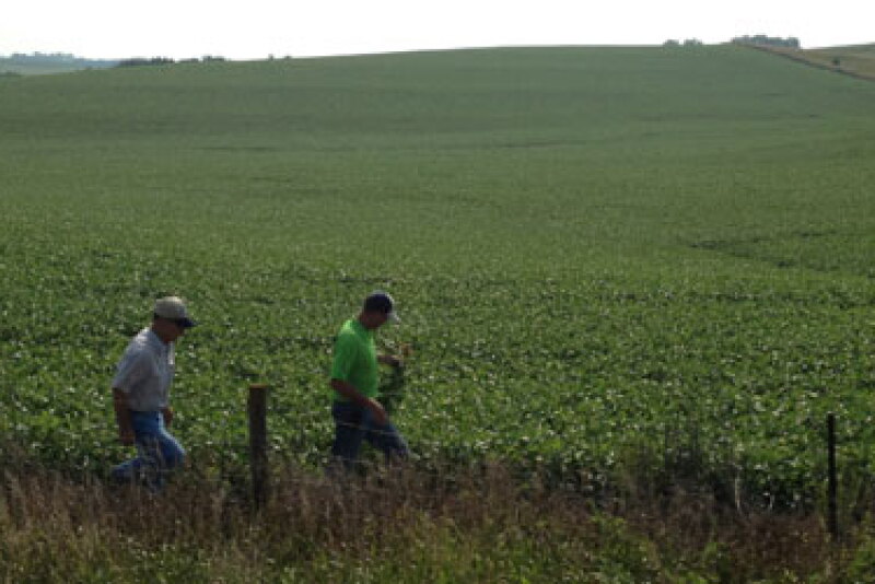 crop tour scouts nebraska beans