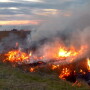 Wildfire