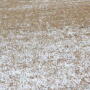 Grazing regrowth on irrigated alfalfa fields is likely in fall grazing plans for many producers. However, alfalfa has several challenges to grazing from animal and plant health perspective.