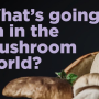 mushrooms