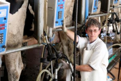Dairy_Worker