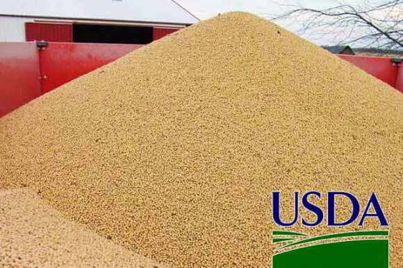 USDA-soybean-pile2.jpg