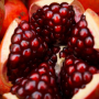 BEC95C70-39EE-491D-8E5D016CAC19383B.png
