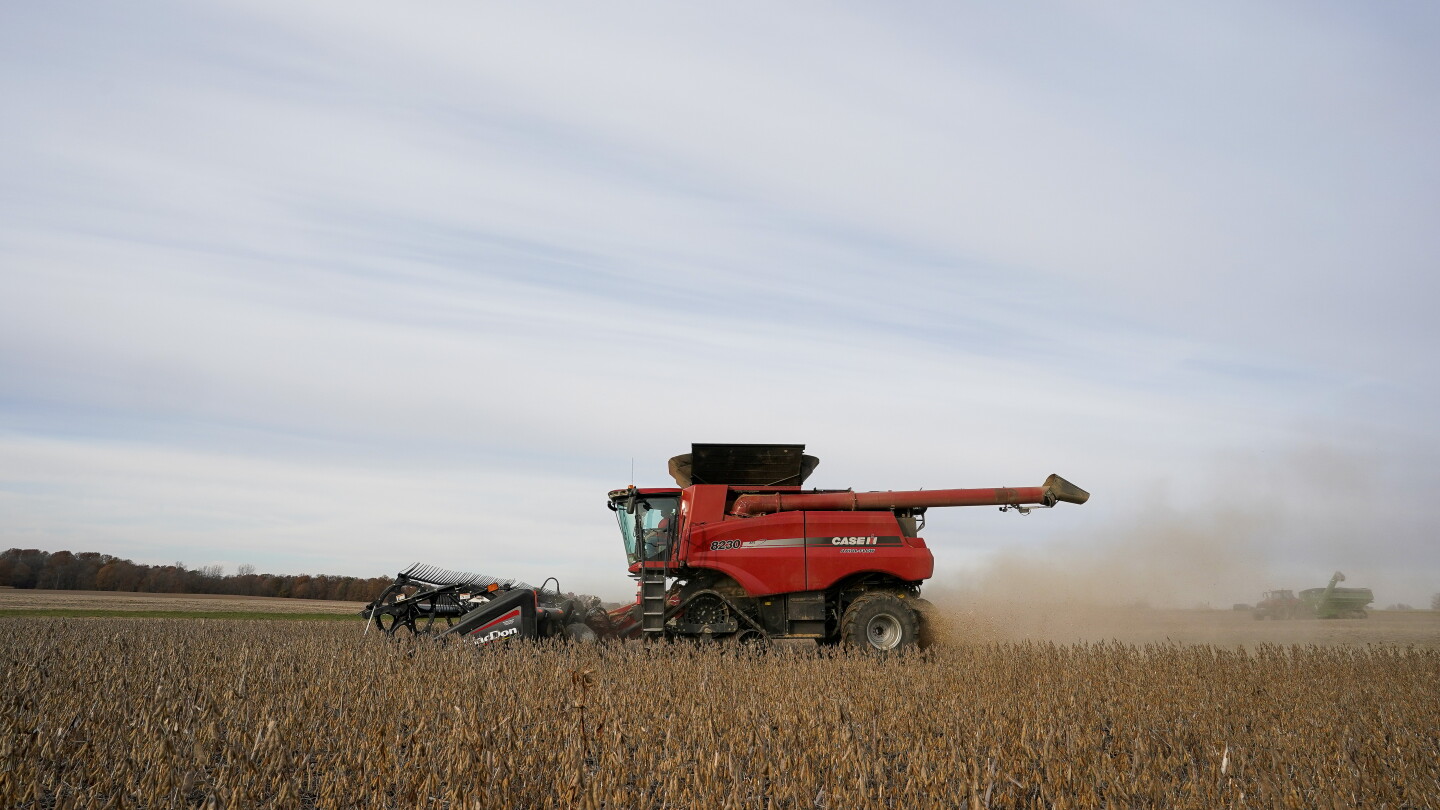 Trade, Biofuels and the Environment: Key Ag Issues in U.S. Election ...