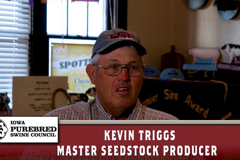 Kevin Triggs - Master Seedstock Producer (IPPA)