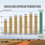 Brazilian Soybean Production