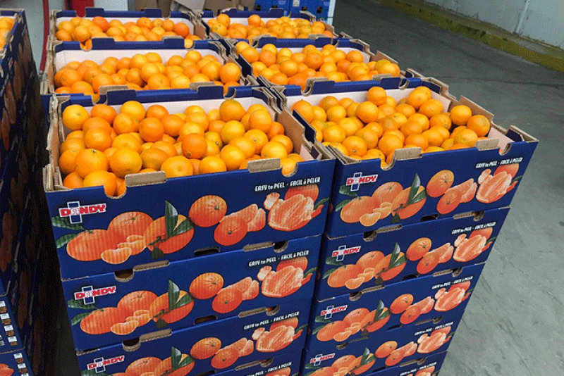 Dandy brand clementines from Chile.