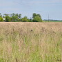Conservation Reserve Program 