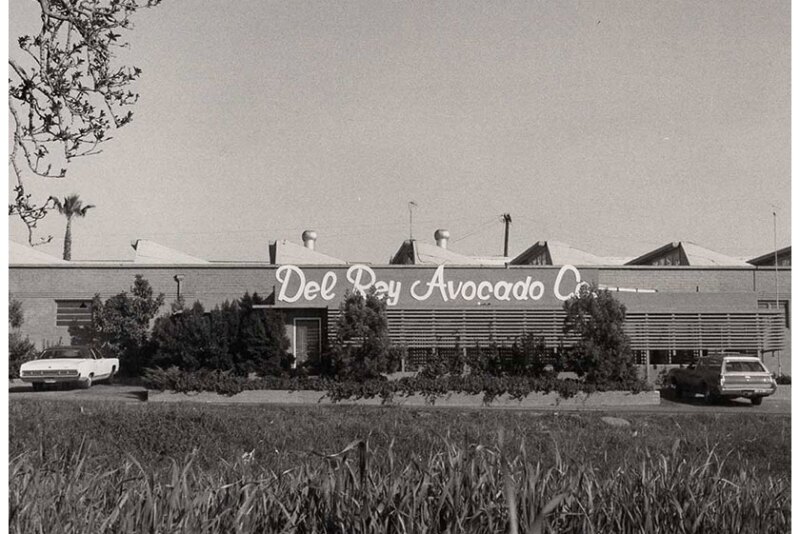 del-rey-building-vintage.jpg