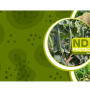 virus website