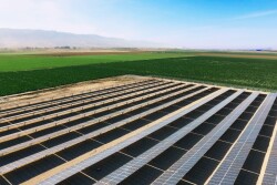 Solar panels at Merrill Farms.