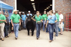 2019 Iowa Governor's Charity Steer Show