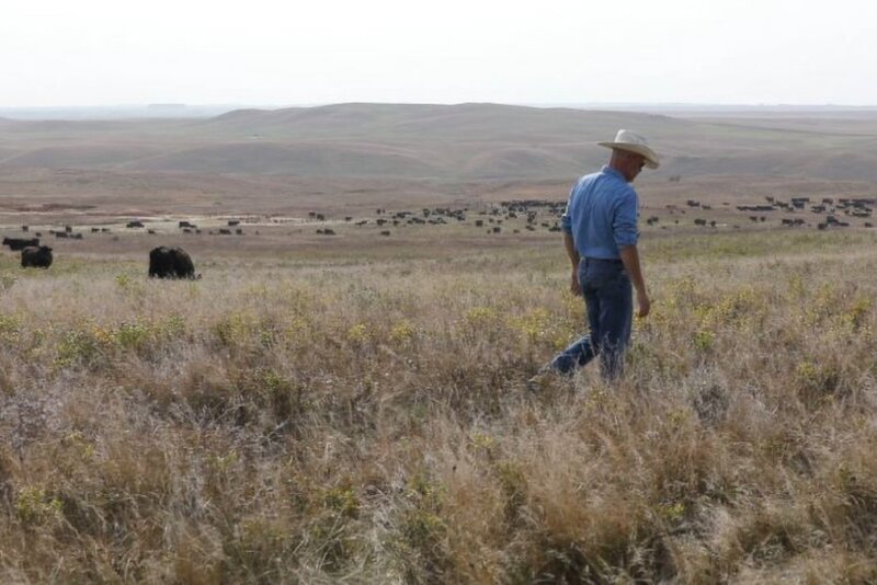 North Dakota Stockmen's Association
