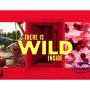 Ocean Spray Cranberries new branding