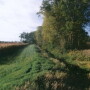 Farm Regulations