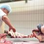 Meat processing plant employees