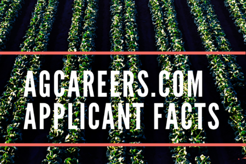 Finding it harder to track down the right new hires? Here’s why. 