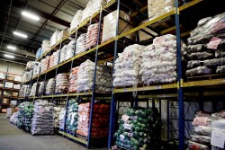 Houston food bank