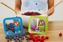north bay berries