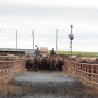 For every rural stock person available, there are two job openings.