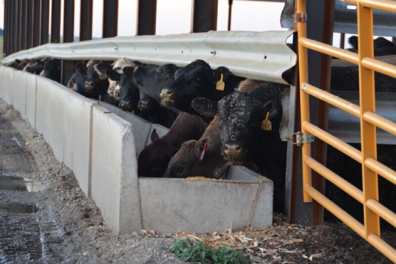 BT_Feeder_Cattle_Bunk_Hoop_Building