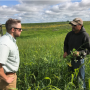 Ducks Unlimited field staffer works with a farmer to implement cover crops.
