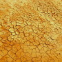 drought5.jpg