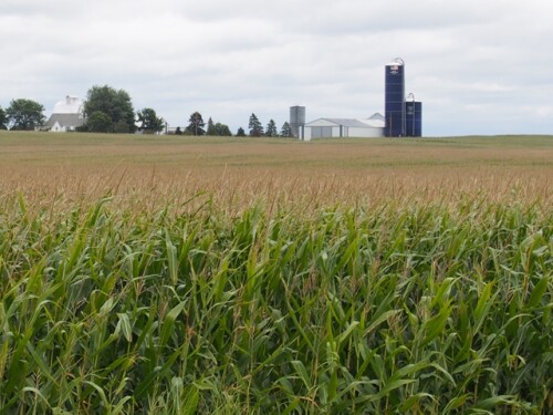Land pros cite dramatic increase in farmlands values across Illinois