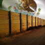 Immigration