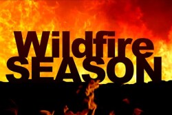 "Grass and brush are just tinder, they are like a fuse for these wildfires.” an official with the California Department of Forestry and Fire Protection said this week, raising doubt that there'll be fewer wildfires in 2018. 

