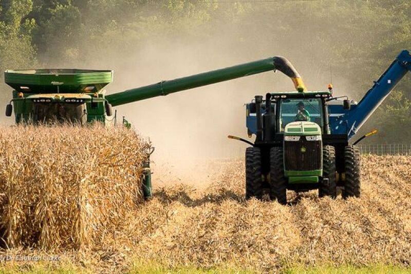 Harvesting corn on the Weihmeir farm.