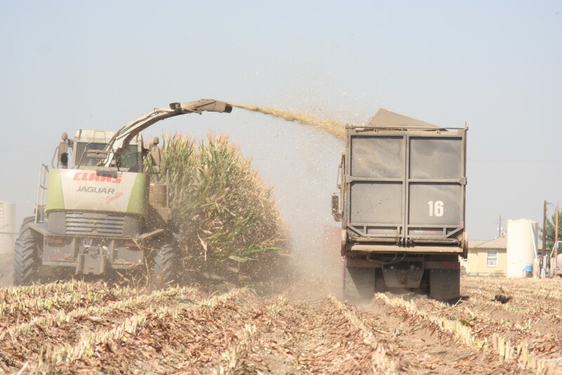With the unprecedented Spring impacting the beginning of the 2019 growing season, we’re curious how your silage looks. 
