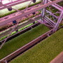 Soli Organic