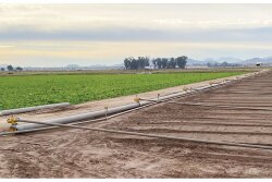The California LGMA has a new subcommittee focused on possible food safety issues from lands adjacent to Concentrated Animal Feeding Operations.