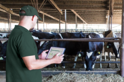 Dairy_Farmer_IPad