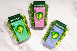 Bowery salad kits