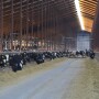 DT_South_Dakota_Dairy