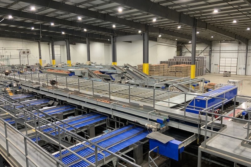 matthews ridgeview farms packing facility