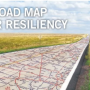 road map for resilience