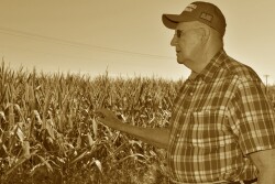 Max Miller, Coles County, Illinois