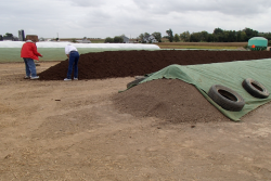 Excretions of antibiotics in cattle urine and feces, and subsequent accumulation in feedlot and dairy manure, has led to concerns over potential contributions to emergence of antibiotic-resistant pathogens. 