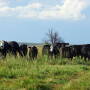 Cedar Vale Ranch